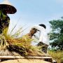 Petani Kampung Bojongloa
