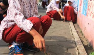 Satu Juta Biopori