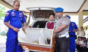 Terjunkan Penyelam Tradisional