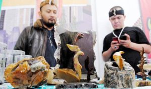 Batu Kujang - Pameran Batu Akik - bandung ekspres