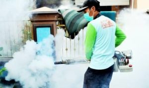 Waspadai Siklus Lima Tahunan DB