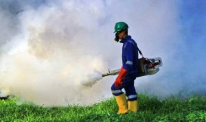 DBD -bandung-ekspres