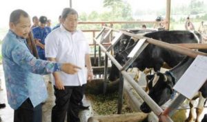 Balai Inseminasi sapi