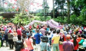 Dusun Bambu - bandung ekspres