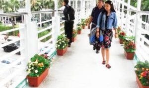 Jembatan Penyebrangan