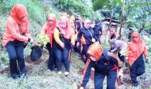 KPP - Bandung Ekspres