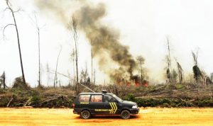 Temukan 77 Titik Kebakaran Hutan dan Lahan Kebakaran Hutan -bandung-ekspres