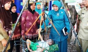 PKK-pembinaan kader - bandung ekspres
