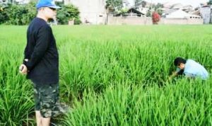 Ciptakan Formula Hebring untuk Pertanian