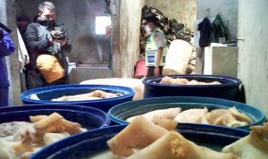 JJ Jadi Tersangka Ilustrasi: Kikil. (Istimewa)