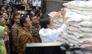Presiden: Stok Beras 1,4 Juta Ton Stok Beras Bulog - bandung ekspres