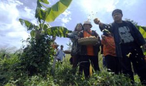 Tragedi Lewui Gajah Bisa Saja Terulang - bandung ekspres