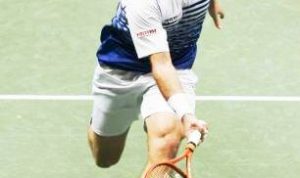 WAWRINKA - bandung ekspres