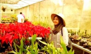 inspirasi -Hasna - bandung ekspres