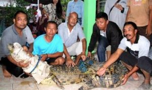 Gadis 9 Tahun Diterkam Monster Sangatta