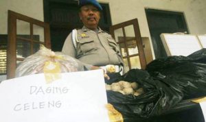 Bos Bakso Daging Celeng Tersangka - bandung ekspres