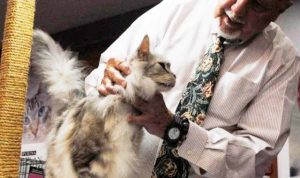Cat Show - bandung ekspres