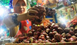 Harga Bawang Merah Terus Melambung Harga Bawang - bandung ekspres