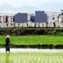 Petani Tanam Padi - bandung ekspresPetani Tanam Padi - bandung ekspres
