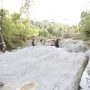 TAMBANG GIOK Nagan- bandung ekspres