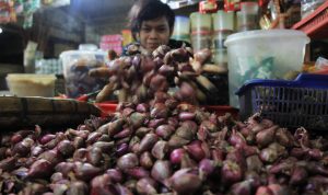 harga bawang naik - bandung ekspres