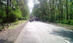 Nikah Siri di Dusun Cinta Kanan dan kiri jalan menuju Dusun Cinta di Desa Blimbing, Kecamatan Pegaden Barat, Subang dipenuhi pepohonan.