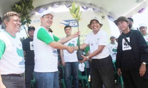 BCA Lanjutkan Tanam Mangrove di Blanakan Subang - bandung ekspres