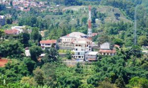 Lahan KBU Kritis