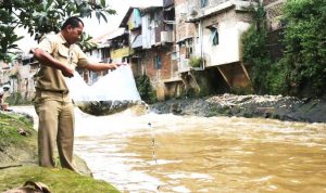 Perlu Lokasi Sedimentasi