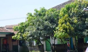 Heri Meninggal di Suriah rumah Heri Gunawan