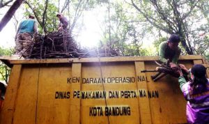 Diskamtam Kota Bandung