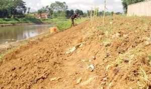 Warga Kawasan Hulu Sungai Perlu Kompensasi Jasa Lingkungan Konpensasi jasa lingkungan