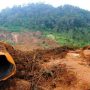 Longsor Pangalengan Hari ke 4