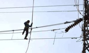 PLN