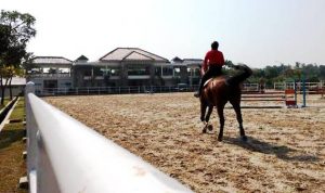 Pacuan Kuda Paku Alam Cup III