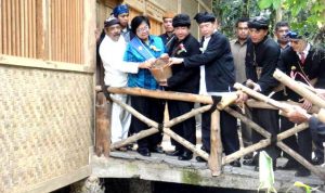 Patali Banyu
