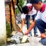 program bersih berDAYA