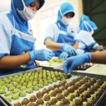 PEKERJA MUSIMAN : Pekerja mengemas kue kering di tempat produksi PT. Bonli Cipta Sejahtera, Jalan Bojong Koneng Atas, Kota Bandung, Senin (29/6).