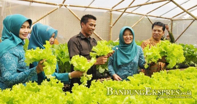 Kawasan Rumah Pangan Lestari