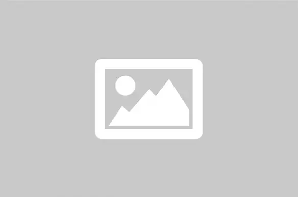 TRANSMART-