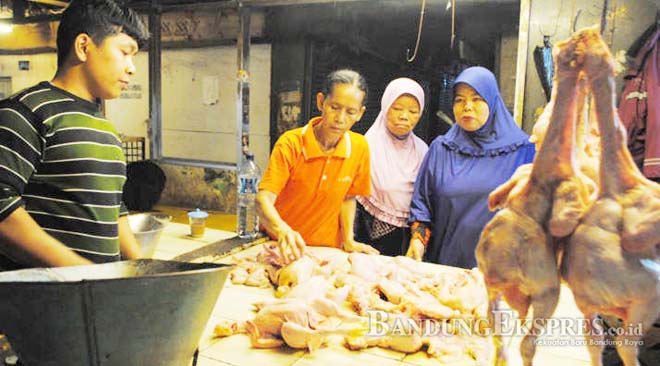 Pedagang Daging