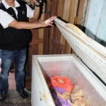 SIDAK TEMUAN AYAM BUSUK - bandung ekspres