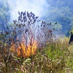 Kebakaran Gunung Sabak