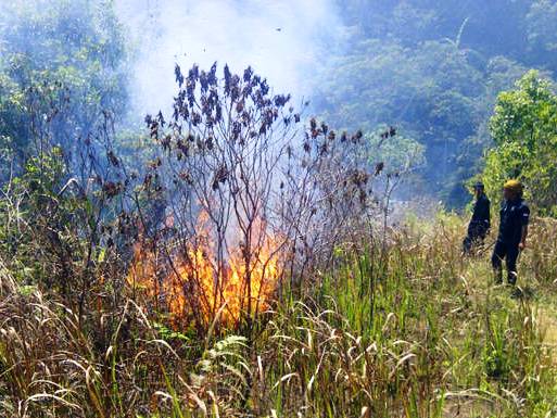 Kebakaran Gunung Sabak
