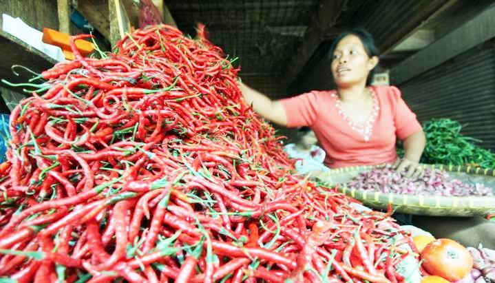 Harga Cabai