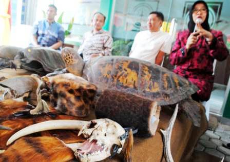 Ekspose Cinderamata Hewan Liar - bandung ekspres