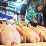 Habis Mogok Malah Sepi Pembeli Pedagang Daging Ayam Mulai Berjualan