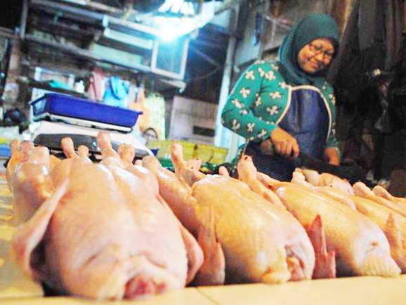 Pedagang Daging Ayam Mulai Berjualan