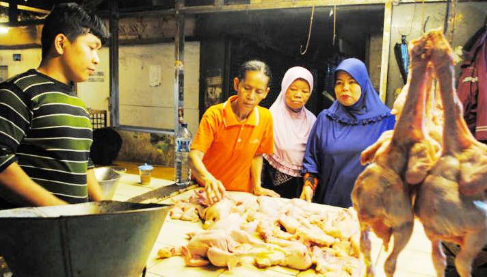 Harga Daging Ayam