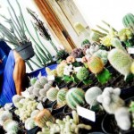 Hobi Tingkatkan Kebahagiaan